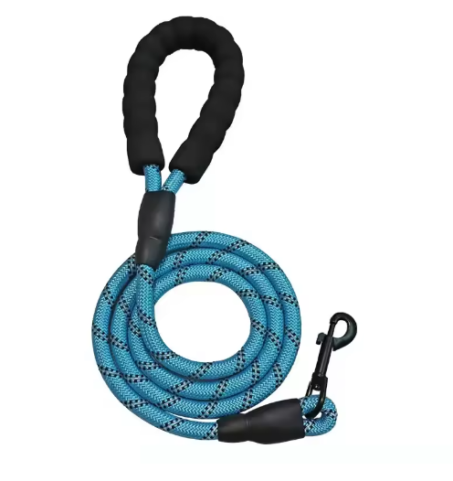 Correa para perro - Golden Retriever