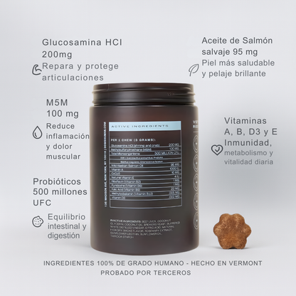 Longevidad DM-01™ Multivitamínico 5-en-1 Para perros que necesitan más años de vida saludable | Mejoras visibles en 3 semanas