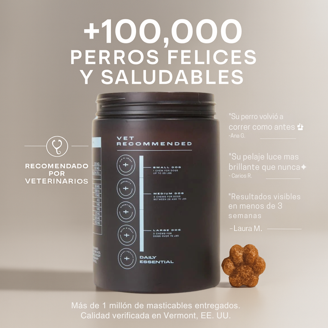 Longevidad DM-01™ Multivitamínico 5-en-1 Para perros que necesitan más años de vida saludable | Mejoras visibles en 3 semanas
