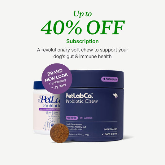 Probióticos para perros: masticables blandos para la salud intestinal y digestiva