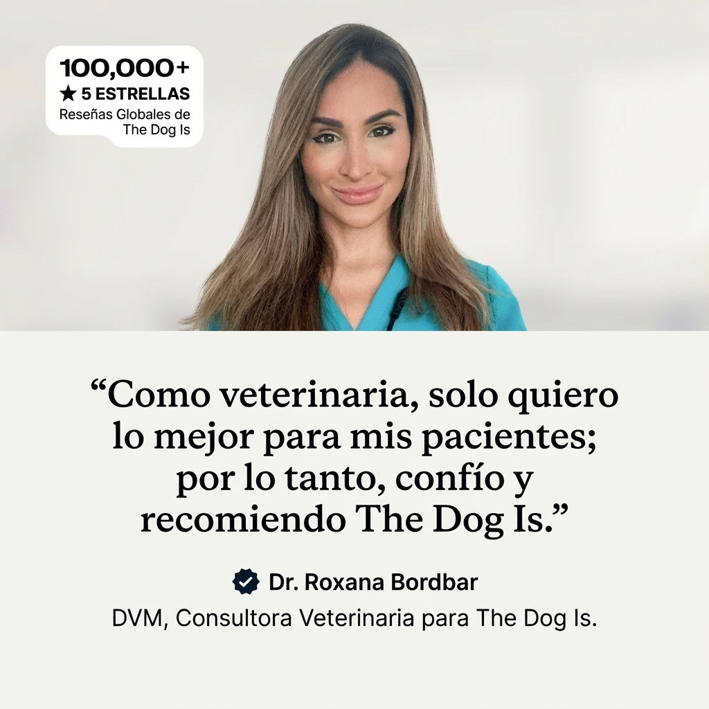 Longevidad DM-01™ Multivitamínico 5-en-1 Para perros que necesitan más años de vida saludable | Mejoras visibles en 3 semanas
