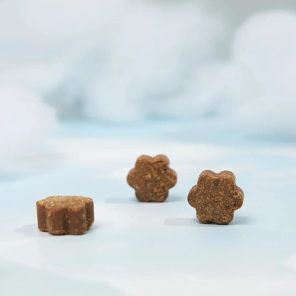 Longevidad DM-01™ Multivitamínico 5-en-1 Para perros que necesitan más años de vida saludable | Mejoras visibles en 3 semanas